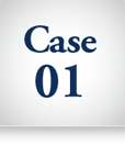 Case01